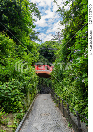 Miyuki Bridge above forest path on Enoshima Island, Japan 127353700