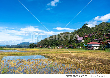 Traditional village with rice fields in Toraja, Sulawesi, Indonesia 127353719