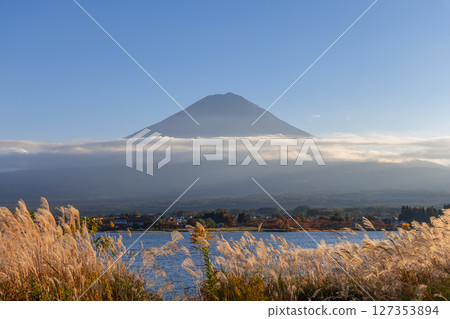 Golden-hour light bathes Mount Fuji, Lake Kawaguchi, and swaying pampas grass Golden-hour light bathes Mount Fuji, Lake Kawaguchi, and swaying pampas grass 127353894