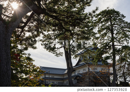 View of Kanazawa Castle partially hidden behind tall pine trees with sun rays through branches View of Kanazawa Castle partially hidden behind tall pine trees with sun rays through branches 127353928