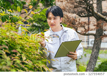 男工人檢查花園樹木 男工人檢查花園樹木 127354057