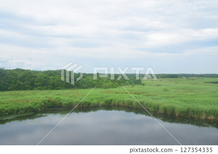 JR北海道，苫小牧站至南千歲站的當地火車場景（2023年夏季） 127354335