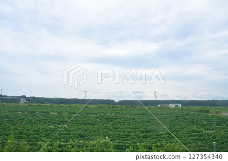 JR北海道，苫小牧站至南千歲站的當地火車場景（2023年夏季） 127354340