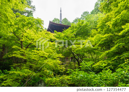 The three-story pagoda of Kongorinji Temple surrounded by lush greenery The three-story pagoda of Kongorinji Temple surrounded by lush greenery 127354477