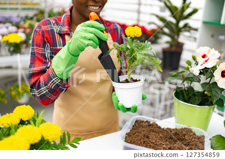 A florist in a shop replants a flower into a new pot with gardening tools. 127354859