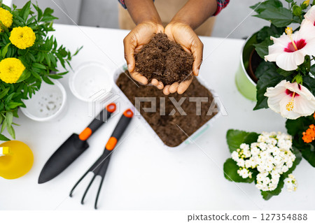 A florist demonstrates replanting flowers, showcasing soil and gardening tools in a florist shop. 127354888