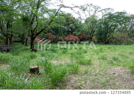 Takiyama Castle: Ninomaru Large Horse Riding 127354895