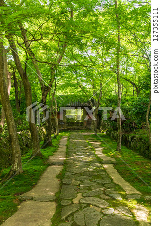 金剛林寺和綠樹成蔭的赤門 金剛林寺和綠樹成蔭的赤門 127355111