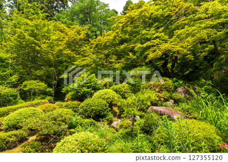 初夏的金剛輪寺，綠意盎然，庭園景色優美 127355120