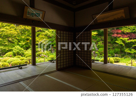從金剛輪寺和明壽院望去，日本庭園綠意盎然 127355126