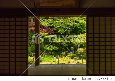 金剛輪寺和明壽院的清新綠色日本花園 金剛輪寺和明壽院的清新綠色日本花園 127355128