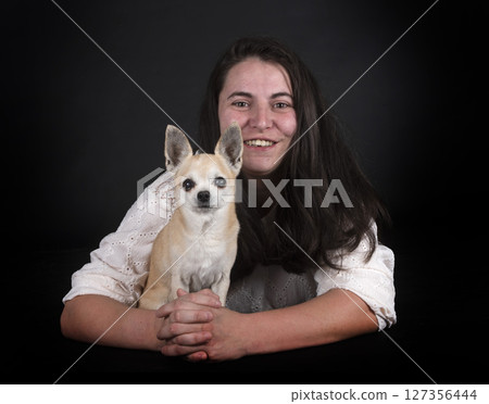 chihuahua and woman in studio chihuahua and woman in studio 127356444
