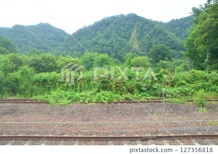 JR北海道石勝線從追分站到新夕張站的本地火車景觀(2023年夏季) JR北海道石勝線從追分站到新夕張站的本地火車景觀(2023年夏季) 127356818