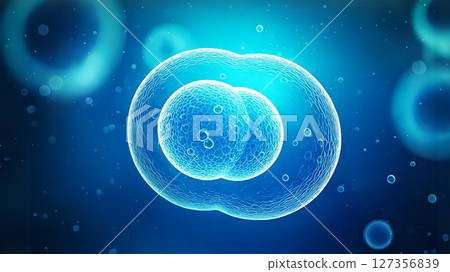 3D illustration of stem cells in the body self-replicating and multiplying Stem cell division Medical material 127356839