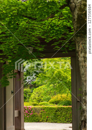 西明寺總門的新綠 127356984