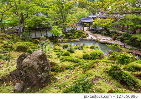 Fresh greenery at Saimyoji Temple and Horai Garden-4 127356986