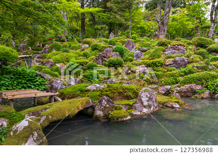 Fresh greenery at Saimyoji Temple and Horai Garden-6 127356988
