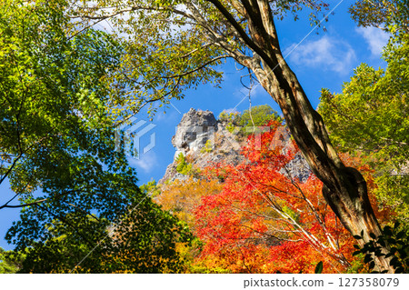 Autumn in Shodoshima - Autumn leaves in Kankakei Gorge - Twelve Views of the Top (Toad Rock) 127358079