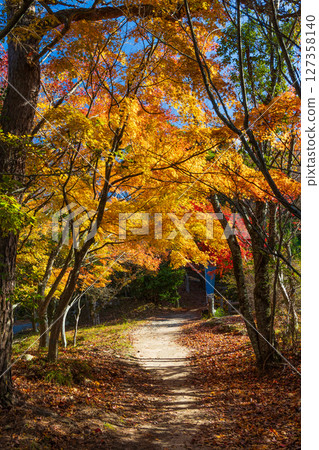 小豆島的秋天－寒霞溪的紅葉 127358140