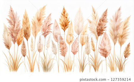 秋草、芒草水彩紋理插畫素材 127359214