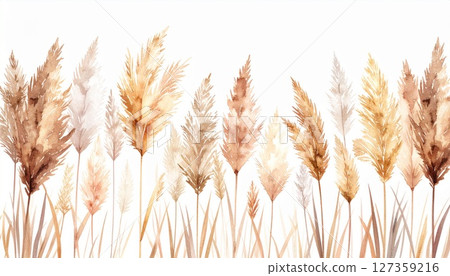 秋草、芒草水彩紋理插畫素材 127359216