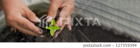 Banner Eco green sustainable hands holding tree earth day environment concept. Hands growing tree on earth day background. Save world energy protect plant tree watering soil garden with copy space Banner Eco green sustainable hands holding tree earth day environment concept. Hands growing tree on earth day background. Save world energy protect plant tree watering soil garden with copy space 127359394
