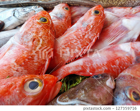 Essaouira fish market, Morocco Essaouira fish market, Morocco 127359716