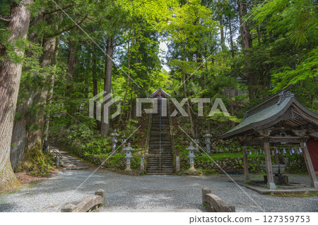 Scenery of the grounds of Nakasha Shrine, Togakushi Shrine, Nagano Scenery of the grounds of Nakasha Shrine, Togakushi Shrine, Nagano 127359753