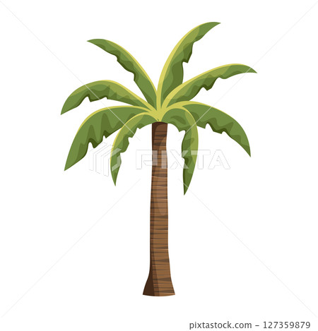 Vector palm plant or isolated beach shore tree. Symbol for exotic and tropical flora or summer nature. Landscape element for island vacation and holiday, relaxation. Sea foliage. Botany and biology. 127359879