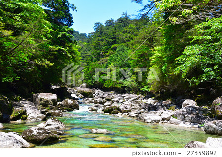 Yakushima Yaksugi Land Arakawa Yakushima Yaksugi Land Arakawa 127359892