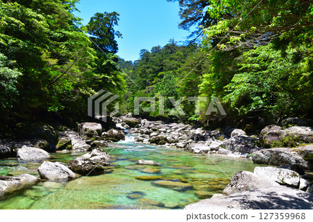 Yakushima Yaksugi Land Arakawa 127359968