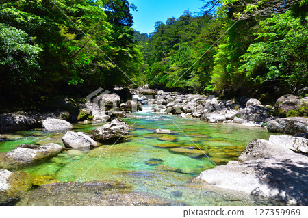 Yakushima Yaksugi Land Arakawa 127359969