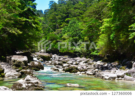 Yakushima Yaksugi Land Arakawa 127360006