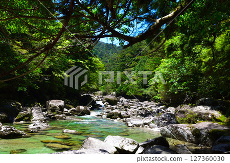 Yakushima Yaksugi Land Arakawa 127360030