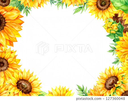Sunflower copy space 127360048
