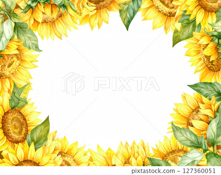 Sunflower copy space 127360051
