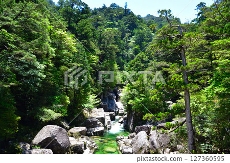 Yakushima Yaksugi Land Arakawa 127360595