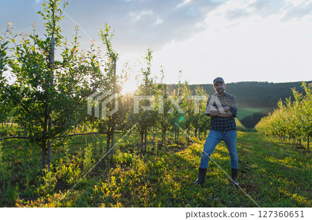 A mature farmer standing in the middle of orchard at sunset. Copy space. 127360651