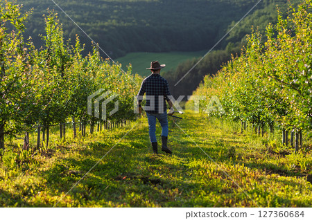 A mature farmer walking outdoors in orchard at sunset. Copy space. A mature farmer walking outdoors in orchard at sunset. Copy space. 127360684