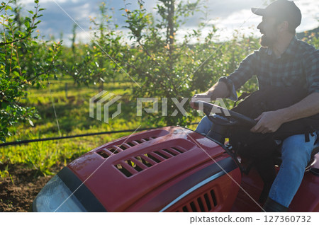 Farmer mowing grass between fruit trees on small tractor. 127360732