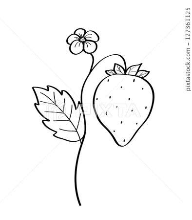 Strawberry bush with berry and flower icon. Vector illustration of cartoon doodle style. Isolated on white. Strawberry bush with berry and flower icon. Vector illustration of cartoon doodle style. Isolated on white. 127361125
