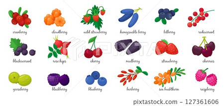 Cartoon fresh berries. Isolated berry, seasonal vitamin food. Blackcurrant cherry raspberry bilberry blueberry gooseberry. Neoteric vector clipart 127361606