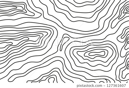 Abstract topographic map. Different curved lines, black stripes seamless pattern. Geometric print for fabric, wallpaper, neoteric vector background 127361607