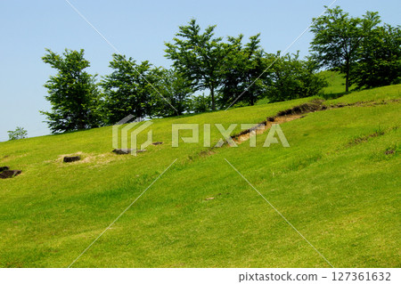 阿蘇郡西原村的觀光景點“俵山交流中心茂之鄉” 阿蘇郡西原村的觀光景點“俵山交流中心茂之鄉” 127361632