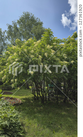 Park area with trees and flowers. Recreation areas and bicycle paths. Tourism Park area with trees and flowers. Recreation areas and bicycle paths. Tourism 127361920