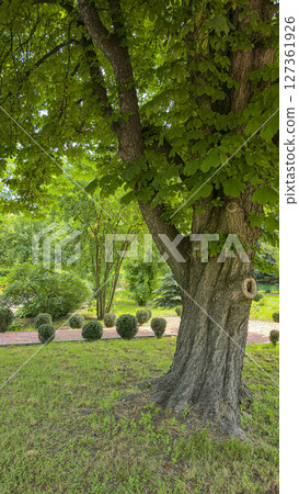 Park area with trees and flowers. Recreation areas and bicycle paths. Tourism Park area with trees and flowers. Recreation areas and bicycle paths. Tourism 127361926