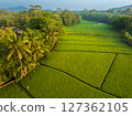 Aerial drone view beautiful rice field during sunrise, Java, Indonesia 127362105