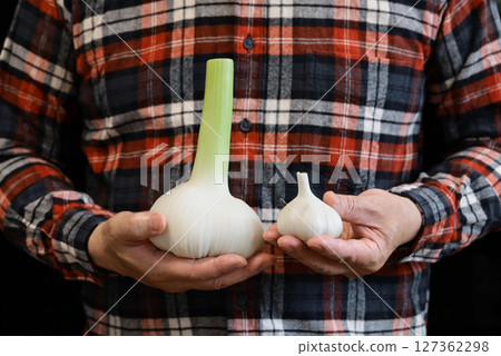Jumbo garlic and regular garlic Jumbo garlic and regular garlic 127362298