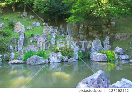 Fresh greenery in the former Kurushima family garden (Kuju Town, Oita Prefecture) Fresh greenery in the former Kurushima family garden (Kuju Town, Oita Prefecture) 127362322