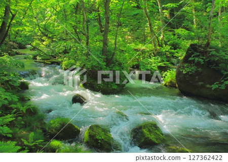 Oirase stream of early summer Oirase stream of early summer 127362422
